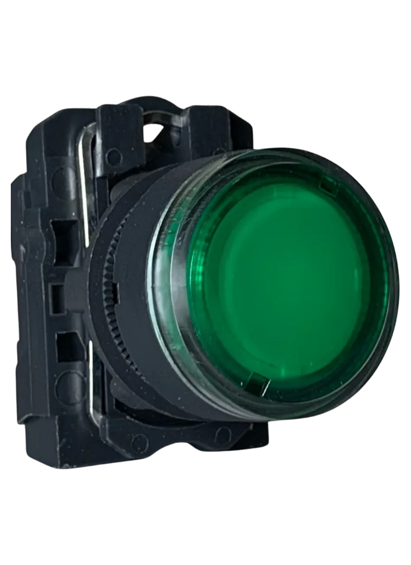 Illuminated Push Button 220VAC Protected LEDs Green 1N/O