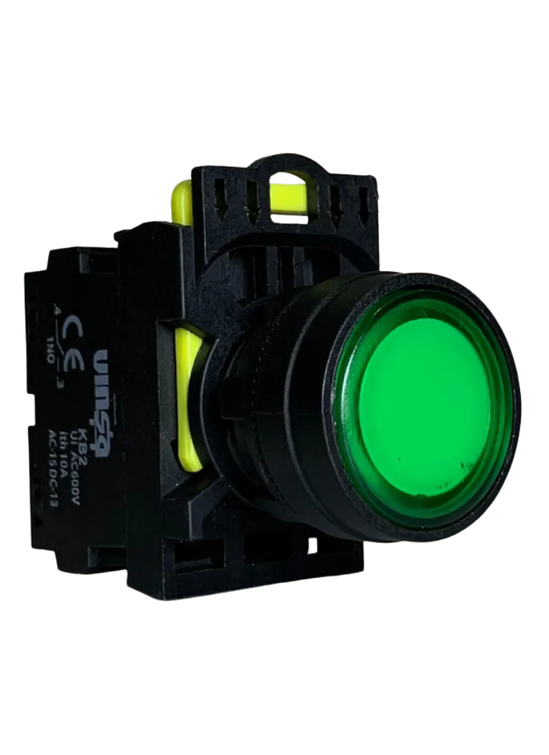 Illuminated Push Button 220VAC Momentary Green 1N/O