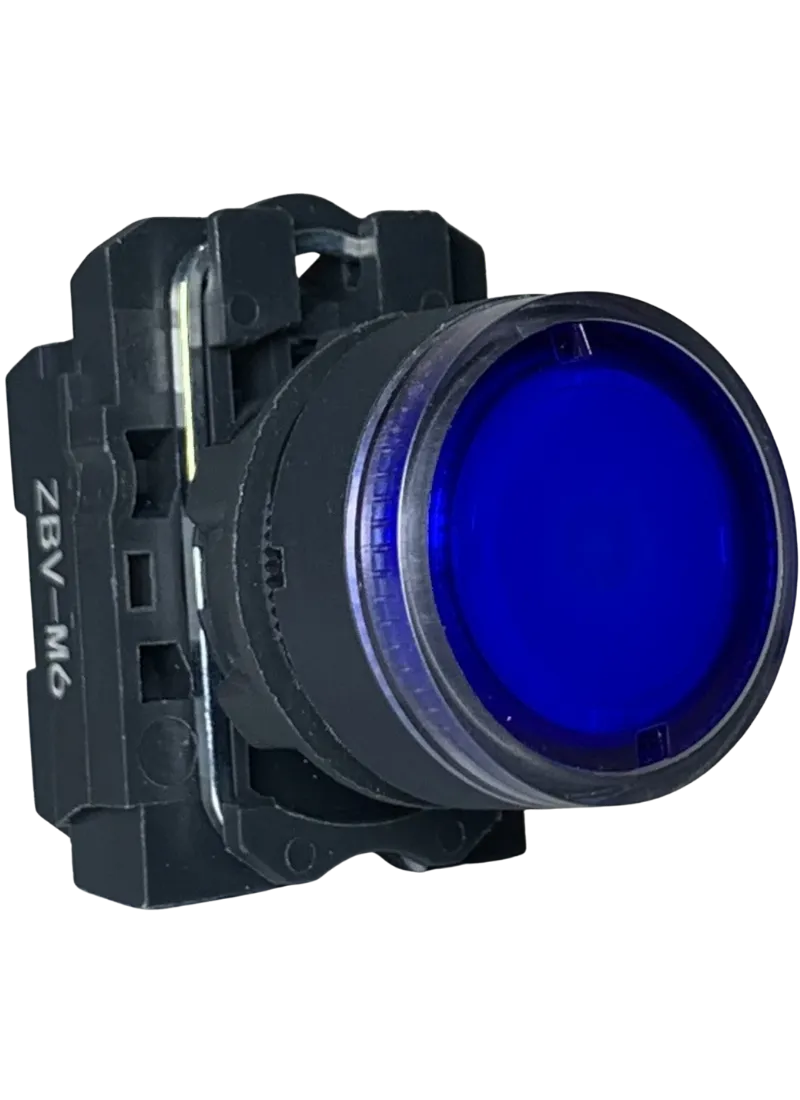 Illuminated Push Button 220VAC Protected LEDs Blue 1N/O